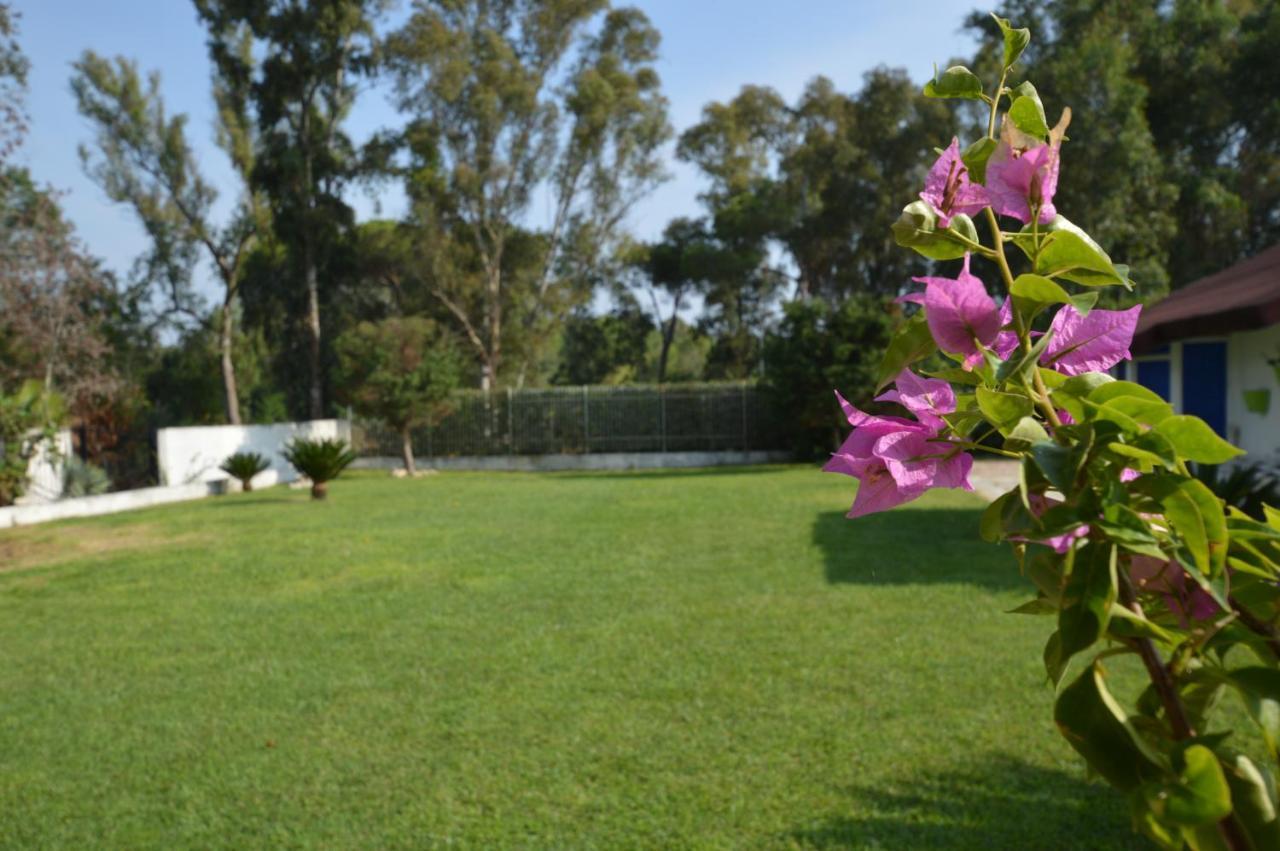 Casa Blanca B&B Latina Exterior foto